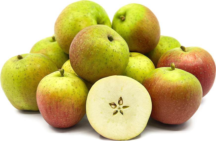 Mabbott's Pearmain Apples picture
