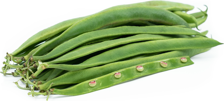 English Runner Beans picture
