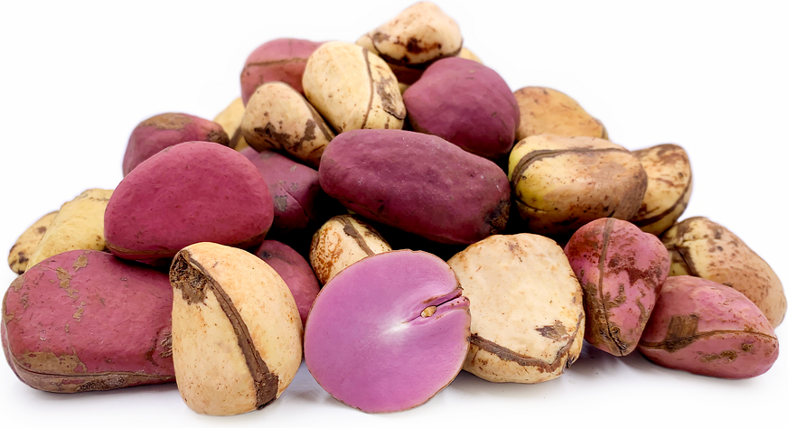 Kola Nuts picture