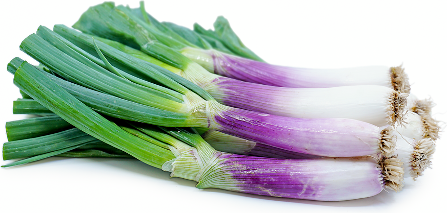 Torpedo Onions picture