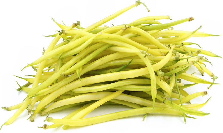 Yellow Baby French Beans picture