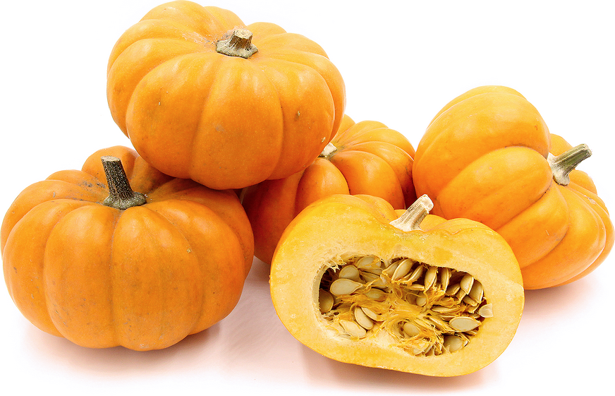 Munchkin Pumpkins picture