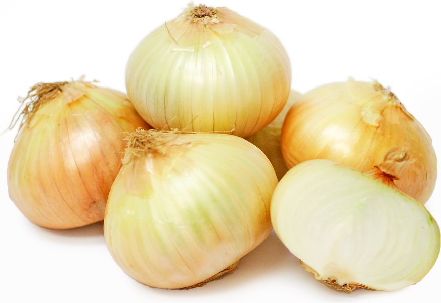 Kula Sweet Onions picture