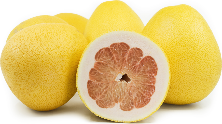 African Shaddock Pomelo Information and Facts