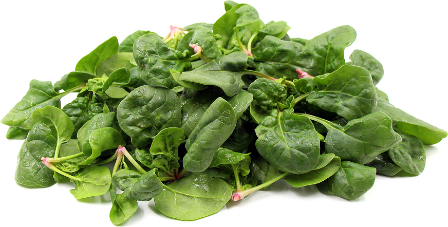 Mandolin Spinach picture