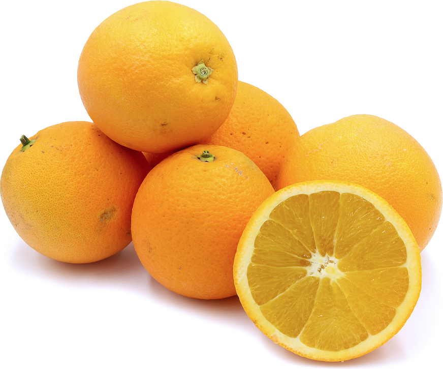 Navel Oranges picture