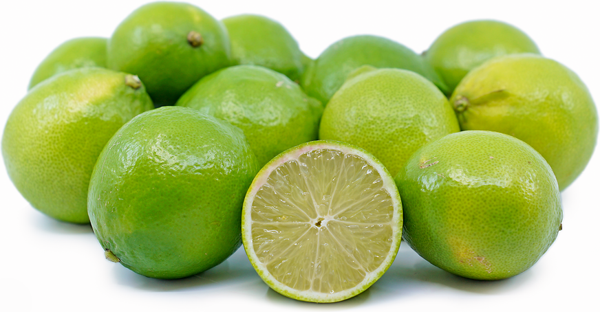 Bearss Limes picture