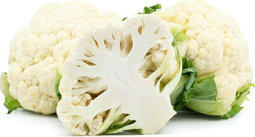 White Cauliflower picture