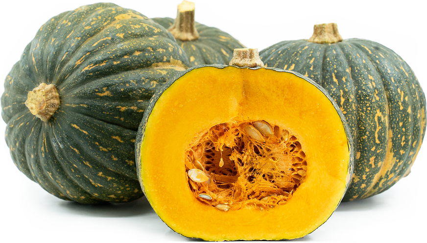 Tetsukabuto Squash picture