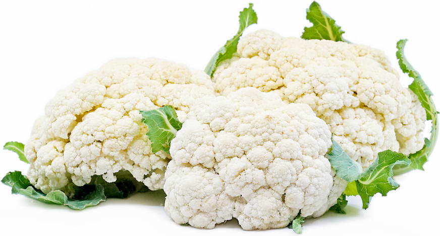 Cauliflower picture