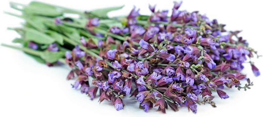 Sage Flowers picture