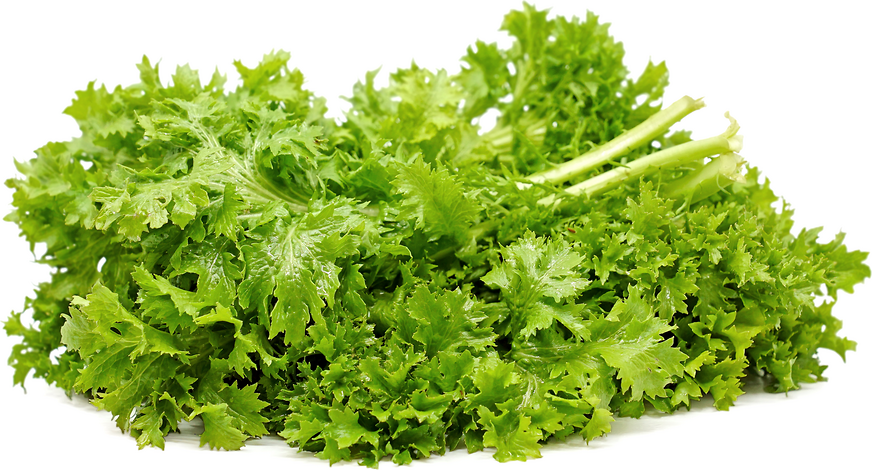 Wasabi Mustard Greens Information, Recipes and Facts