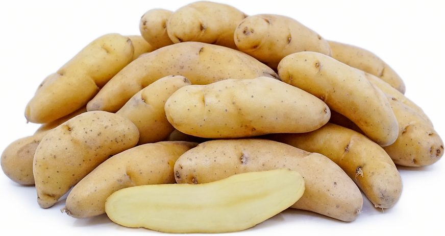 Russian Banana Fingerling Potatoes picture