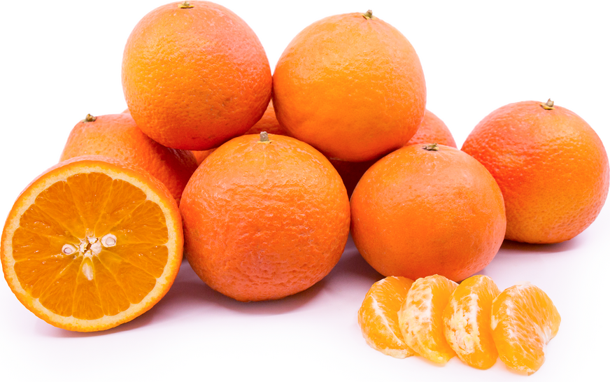 Temple Oranges picture