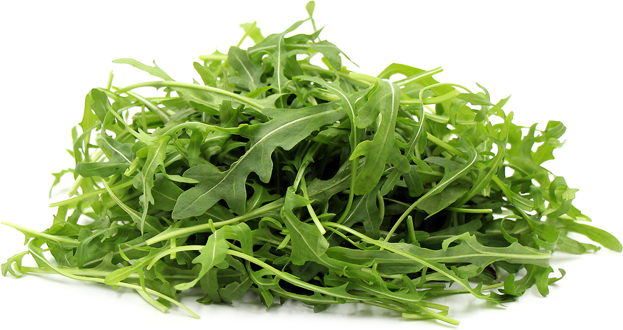 Grazia Arugula picture