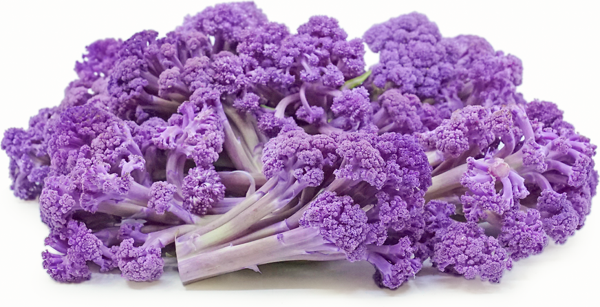 Sprouting Purple Cauliflower picture
