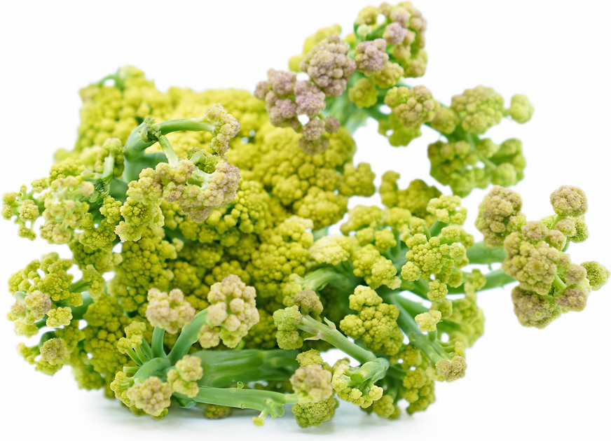 Sprouting Green Cauliflower picture