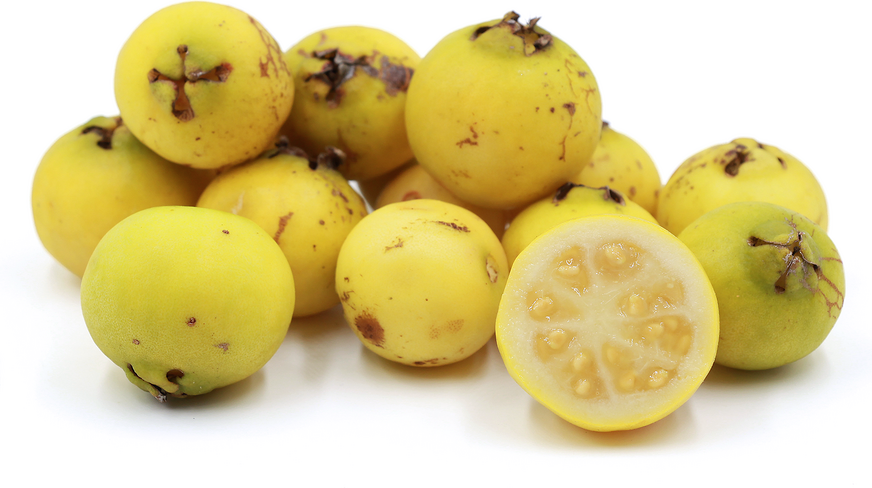 Lemon Guava picture