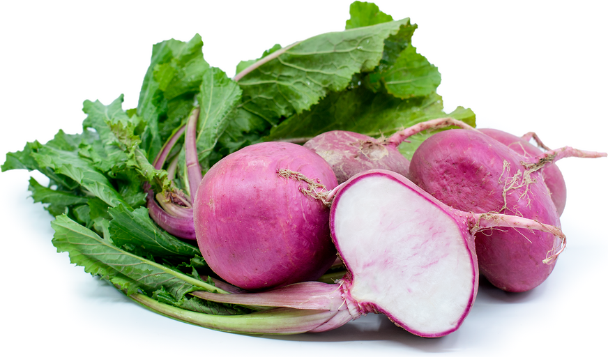 Scarlet Turnips picture