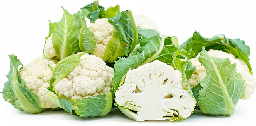 Baby White Cauliflower picture