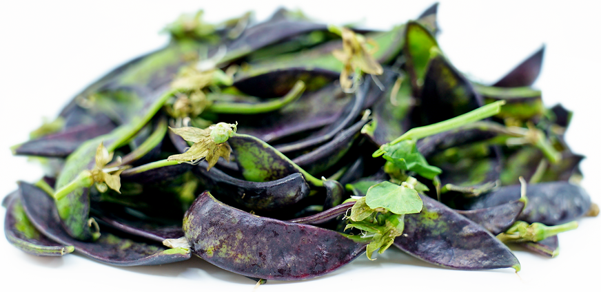 Purple Snow Peas picture