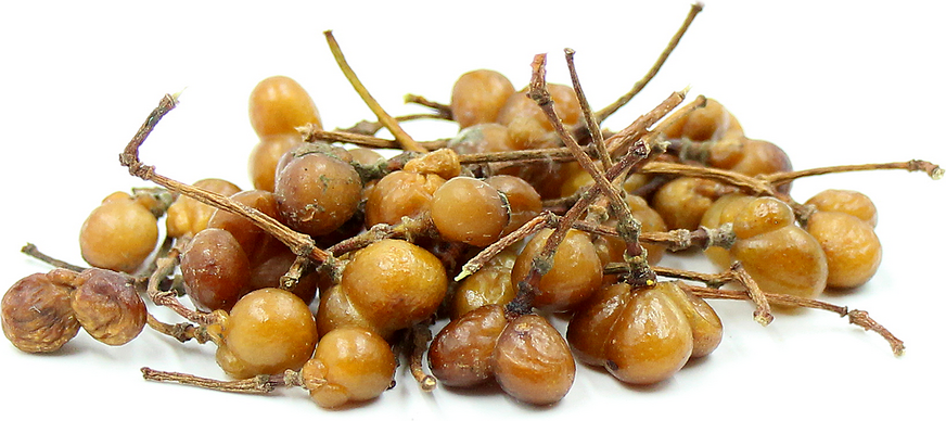 Brandy Bush Fruit picture