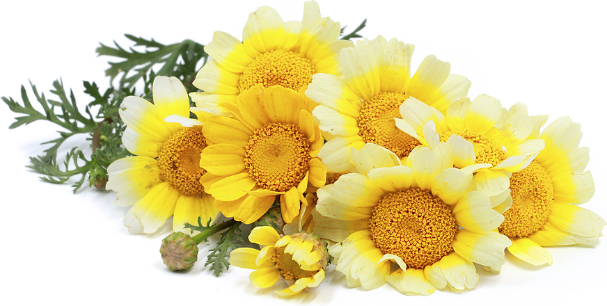 Mixed Chrysanthemum Flower Shape Wood Decorations Cute - Temu