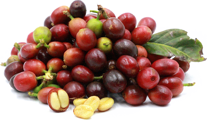 Coffee Berries Information, Recipes and Facts