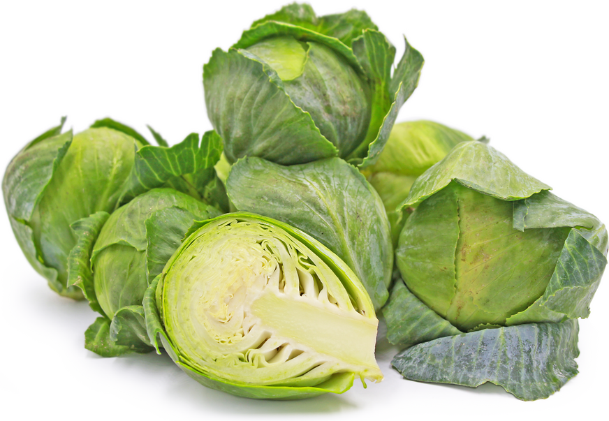 Pixie Cabbage Information and Facts