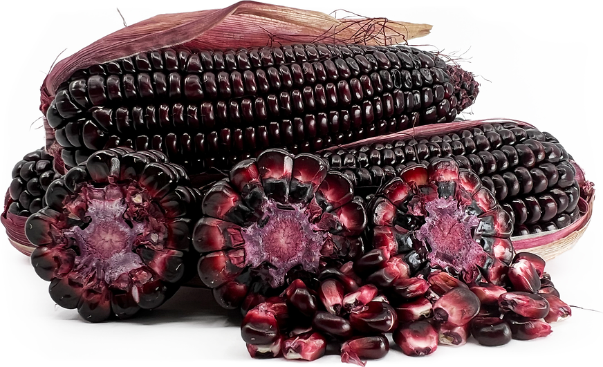 Purple Corn picture