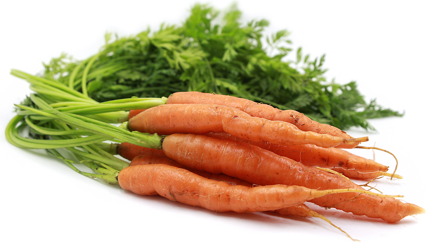 Baby Bunched Carrots picture