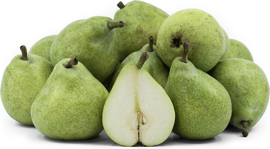 Kalle Pears picture