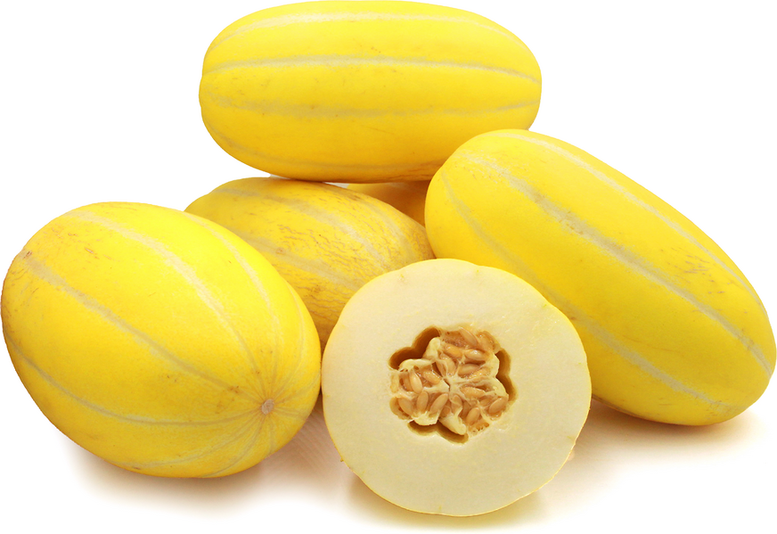 Sun Jewel Melon picture