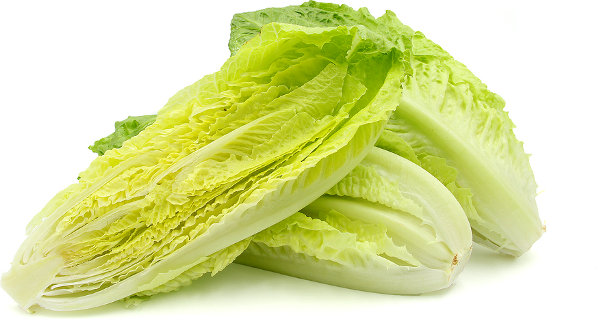 romaine lettuce or romaine hearts