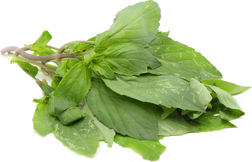 Lime Basil picture