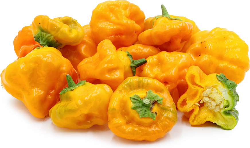 Jamaican Yellow Mushroom Chile Pepper picture