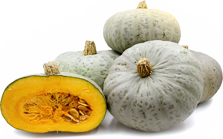 Confection Squash picture