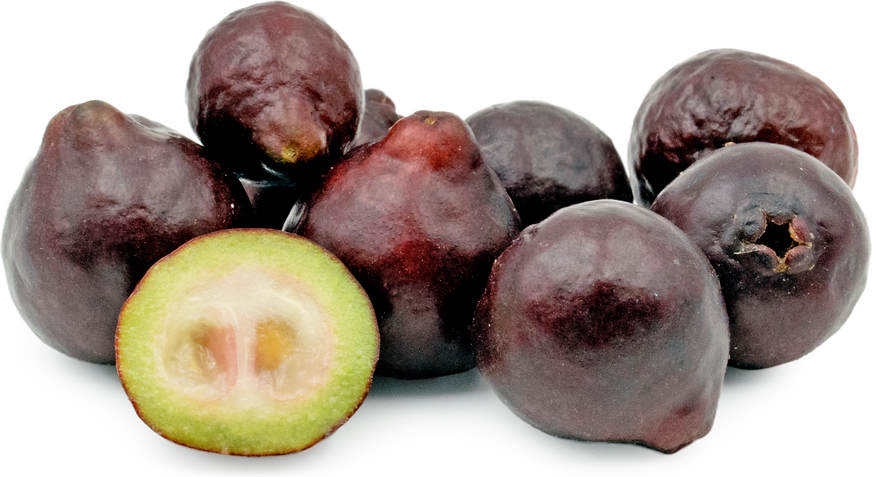 Purple Forest Guavas picture