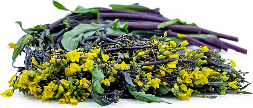 Purple Choy Sum Cabbage picture