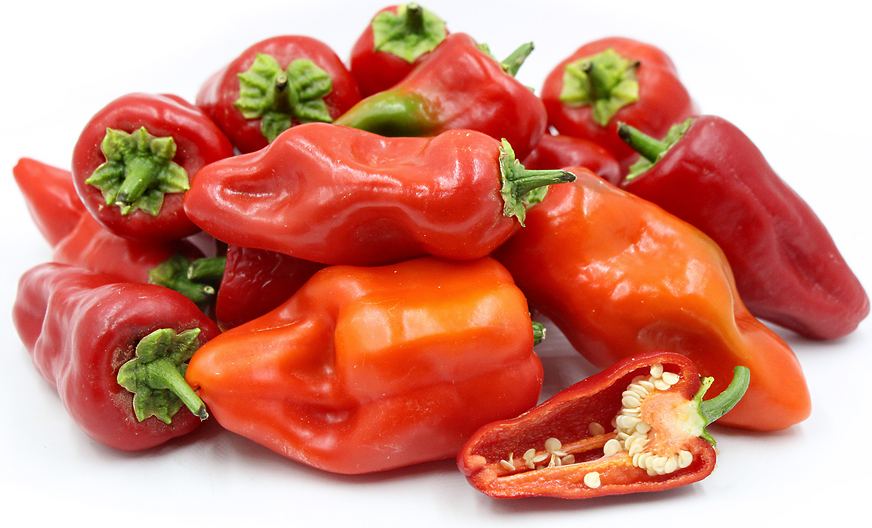 Leutschauer Paprika Chile Pepper Information and Facts