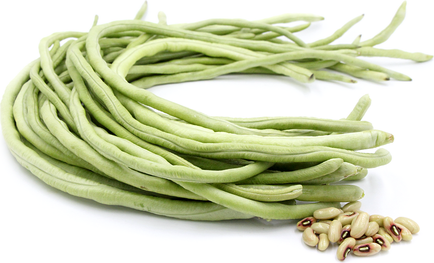 Thai White Seeded Long Bean picture