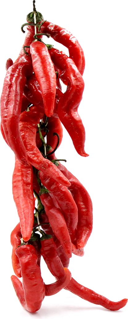 Cayenne Chile Pepper String picture