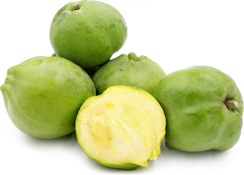 Lamertz White Sapote Information And Facts