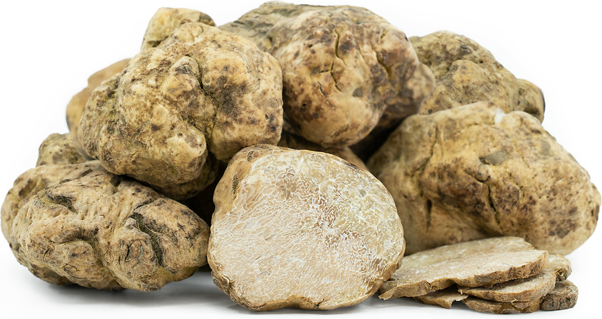 Italian White Winter Truffles picture