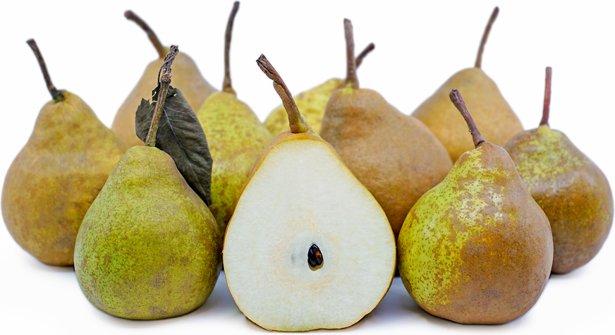 Winter Nellis Pears picture