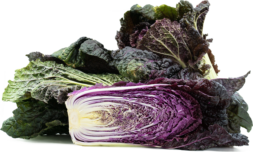 Red Napa Cabbage picture