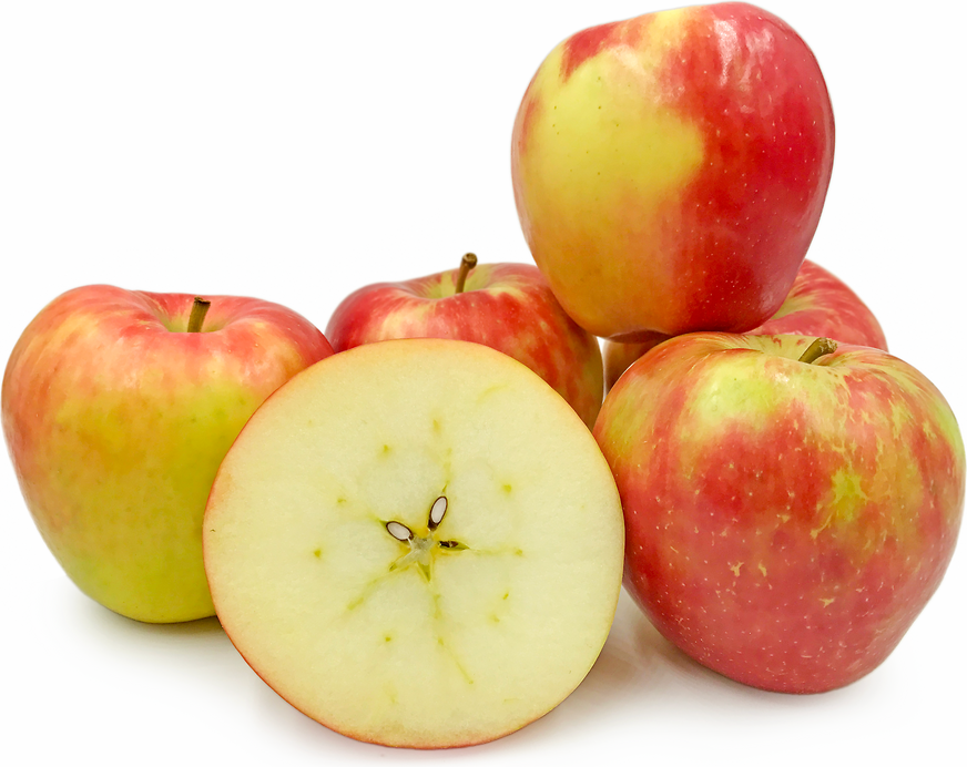 Honey Crunch Apples Information and Facts