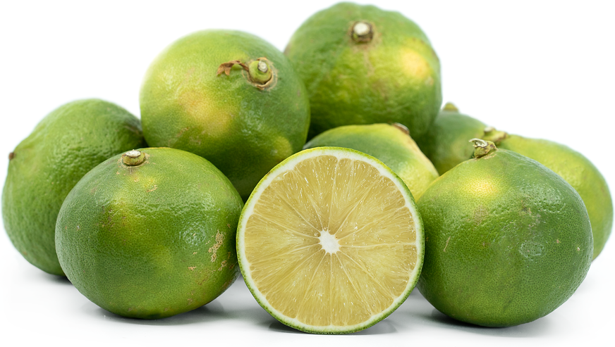Bergamotto Lemons picture