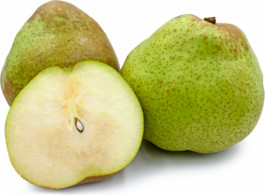 Florana Pears picture