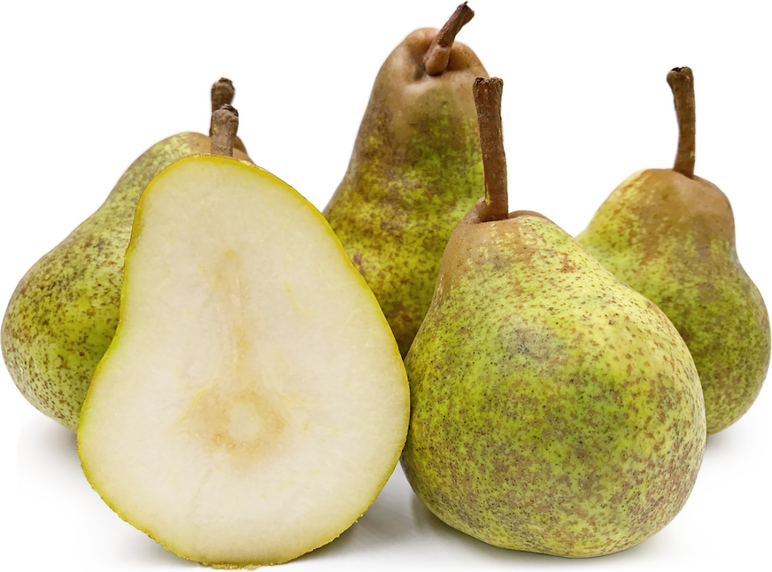 Glou Morceau Pears picture